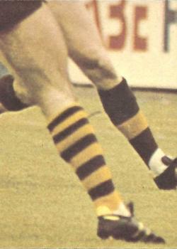1976 Scanlens VFL #118 Ron Andrews Back